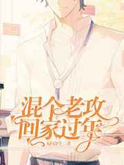 混个老攻回家过年小说