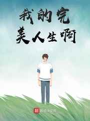 我的完美人生啊小说
