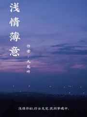 浅情薄意小说
