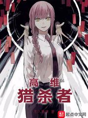 高维猎杀者小说