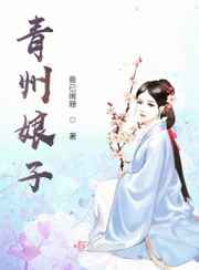青州娘子小说