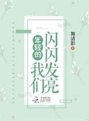 年轻的我们闪闪发亮小说