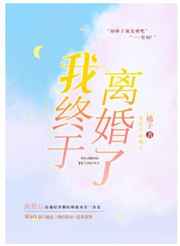 我终于离婚了小说