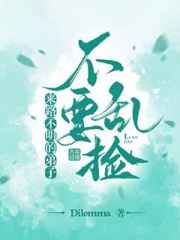 来路不明的弟子不要乱捡小说