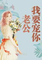 老公我要宠你小说