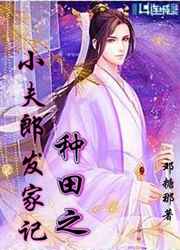 种田之小夫郎发家记小说