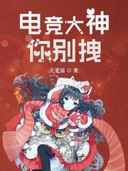 电竞大神你别拽小说