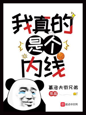 我真的是个内线小说