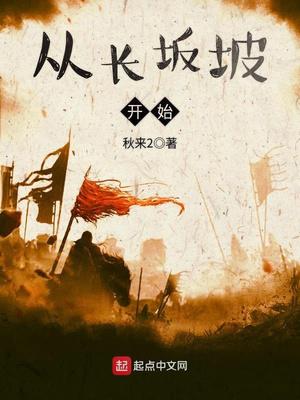 从长坂坡开始小说