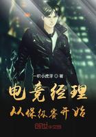 电竞经理从保级赛开始小说
