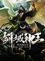 剑域神王小说
