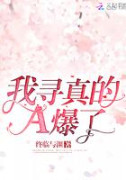 我寻真的A爆了小说