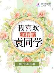我喜欢这样的袁同学小说