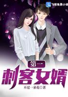第一刺客女婿小说