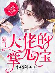 豪门大佬的掌心宝小说