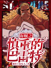 海贼之慎重的巴雷特小说