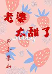 老婆太甜了小说