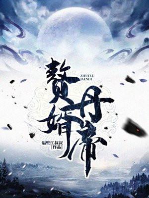 赘婿丹帝小说