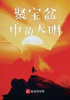 聚宝盆中的大明小说