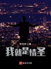 我就是情圣小说