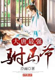 大唐最强驸马爷小说