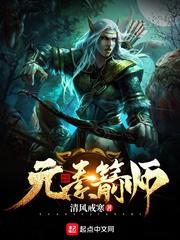 元素箭师小说