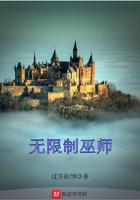 无限制巫师小说