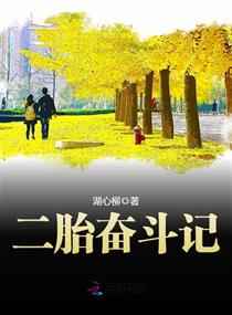 二胎奋斗记小说