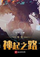 电竞神起之路小说
