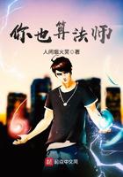 你也算法师小说