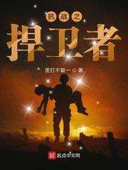 抗战之捍卫者小说