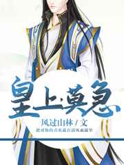 皇上，莫急小说