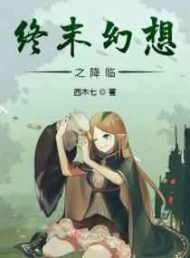 终末幻想之降临小说