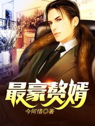 最豪赘婿小说