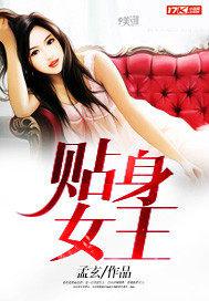 贴身女王小说