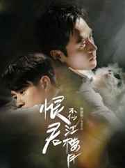恨君不似江楼月小说