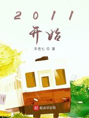 2011开始小说
