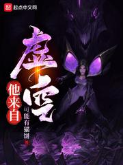他来自虚空小说