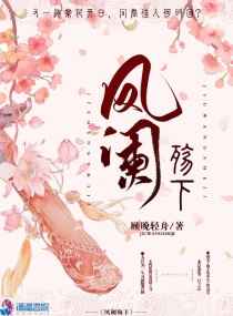 凤阑殇下小说