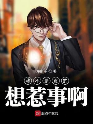 我不是真的想惹事啊小说