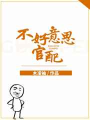 不好意思，官配小说