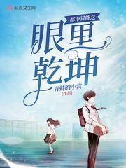 都市异能之眼里乾坤小说