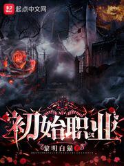 初始职业小说