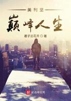 美利坚巅峰人生小说