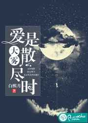爱是大雾散尽时小说
