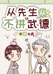 从先生从不讲武德小说