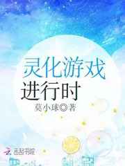 灵化游戏进行时小说