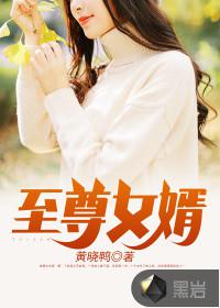 至尊女婿小说
