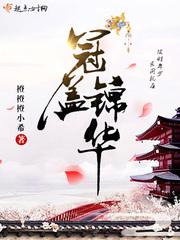 冠盖锦华小说