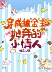 穿成被金主抛弃的小情人小说